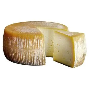 fromages de brebis (Pecorino) tres doux (primo Sale) Coratino | Meule de 3 kg I Formaggi – Fromages Achat fromage italien direct producteur fromages de brebis (Pecorino) tres doux (primo Sale) Coratino | Meule de 3 kg