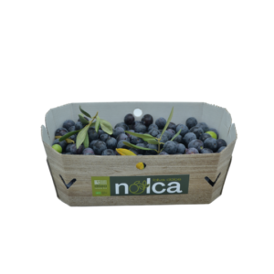 Olives : 💜 Olives Douces « Nolche » des Pouilles | Box 2 kg | Tradition d’Andria L’Or Liquide & Condiments Achat olives Nolche 2kg Olives : 💜 Olives Douces "Nolche" des Pouilles | Box 2 kg | Tradition d'Andria