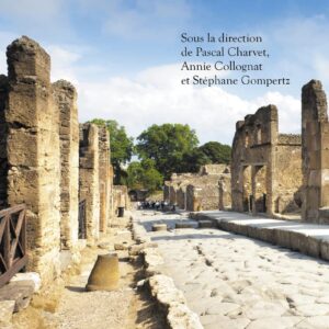 Pompéi – L’ouvrage de référence absolu Une immersion totale dans la cité antique figée en 79 après J.-C. Langue et Culture Italiennes archéologie romaine Pompéi – L’ouvrage de référence absolu Une immersion totale dans la cité antique figée en 79 après J.-C.