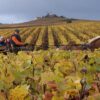 Excursion Champagne Tout Compris Depuis Paris – Dégustations, Vignobles & Reims – ByFood visite touristique cathédrale reims visite 23 Excursion Champagne Tout Compris Depuis Paris – Dégustations, Vignobles & Reims – ByFood