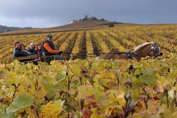Excursion Champagne Tout Compris Depuis Paris – Dégustations, Vignobles & Reims – ByFood visite touristique cathédrale reims visite 3 Excursion Champagne Tout Compris Depuis Paris – Dégustations, Vignobles & Reims – ByFood