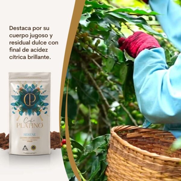Café Platino Serene – Décaféiné Colombie 100% Arabica Supremo 250 g