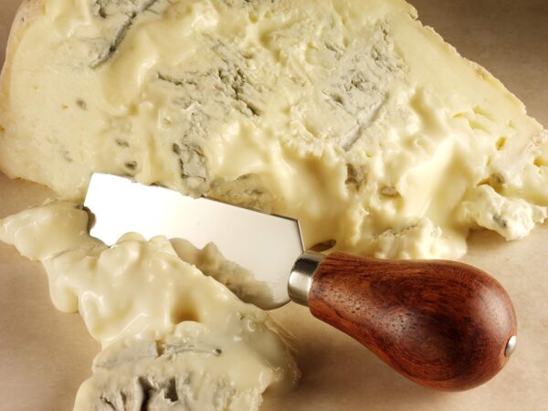 Gorgonzola AOP 1,3 kg – Fromage italien crémeux Salumi Pasini Fromages & Spécialités Laitières du Mezzogiorno format familial 1.3 kg 15 Gorgonzola AOP 1,3 kg – Fromage italien crémeux Salumi Pasini