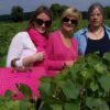 Excursion Champagne Tout Compris Depuis Paris – Dégustations, Vignobles & Reims – ByFood visite touristique cathédrale reims visite 21 Excursion Champagne Tout Compris Depuis Paris – Dégustations, Vignobles & Reims – ByFood