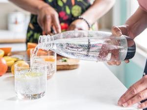030ed6c6-415a-4ec9-82ee-fde47ad8d4fd.__CR0,0,300,225_PT0_SX300_V1___ Cylindre de Gaz CO2 SodaStream Quick Connect Rose | Recharge 60L