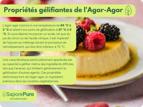 3bf0e468-54ca-4b4a-820d-da60fdaf0767.__CR0,0,800,600_PT0_SX800_V1___ Agar Agar Poudre 500g SaporePuro | Gélifiant Végétal & Sans Gluten