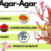 61WV0aDJk7L._AC_SL1080_ Agar Agar Poudre 500g SaporePuro | Gélifiant Végétal & Sans Gluten