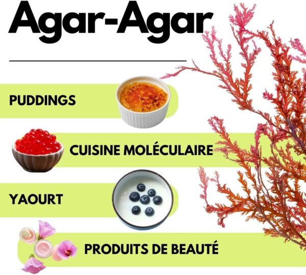 61WV0aDJk7L._AC_SL1080_ Agar Agar Poudre 500g SaporePuro | Gélifiant Végétal & Sans Gluten