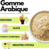 61Y0a6pN-4L._AC_SL1080_ Gomme Arabique en Poudre SaporePuro 1 kg | Épaississant Acacia Pur