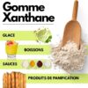 61r2+ZPVtzL._AC_SL1080_ Gomme de Xanthane en Poudre SaporePuro 250 g | Épaississant Pur