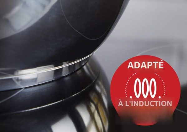 61sm0JNBvAL._AC_SL1500_ Batterie de Cuisine Inox Lagostina Pratica 13 Pcs | Induction & Four