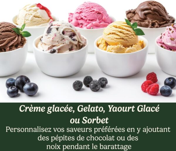 Sorbetière Cuisinart Solo Scoops ICEM10 - Machine à Glace Compacte 475ml