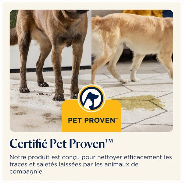 7123yueC6YL._AC_SL1500_ BISSELL SpotClean Pet Pro Shampouineuse Canape 750W 15585