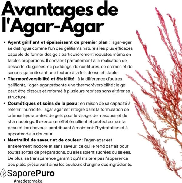 71DvZn7r1BL._AC_SL1080_ Agar Agar Poudre 500g SaporePuro | Gélifiant Végétal & Sans Gluten