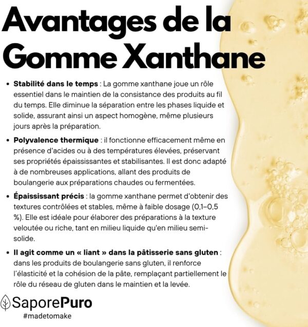 71G74sUf76L._AC_SL1080_ Gomme de Xanthane en Poudre SaporePuro 250 g | Épaississant Pur