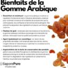 71oizlazpdL._AC_SL1080_ Gomme Arabique en Poudre SaporePuro 1 kg | Épaississant Acacia Pur