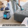 817uaCwColL._AC_SL1500_ Shark StainStriker HairPro Nettoyeur Tapis et Tissus Animaux PX250EUCP