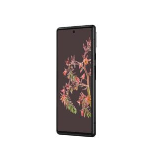 Google Pixel 6 Stormy Black 128 Go Reconditionné – Smartphone 5G