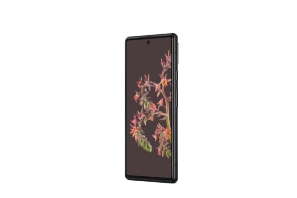 41SrnuSRTHL._SL1014_ Google Pixel 6 Stormy Black 128 Go Reconditionné – Smartphone 5G